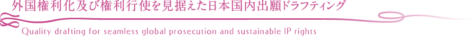 外国権利化及び権利行使を見据えた日本国内出願ドラフティング